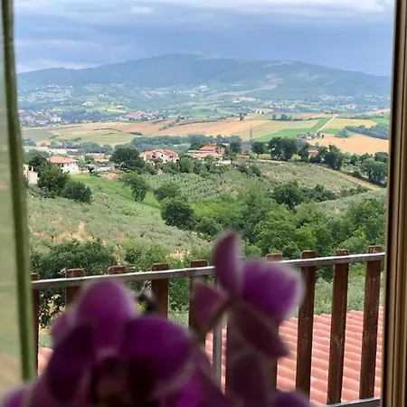 Locazione In Sita In Via Ponte Di Ferro 2 B