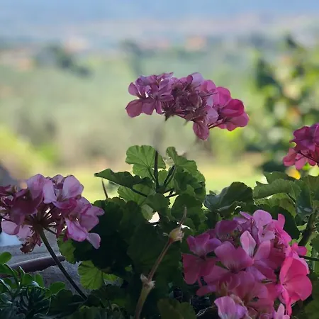 Locazione Turistica Spaccarotella Vista Su *