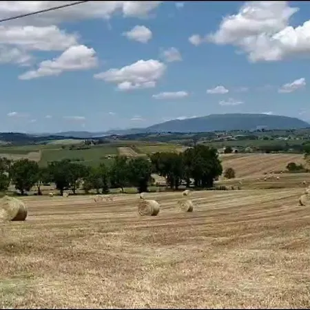 Locazione In Sita In Via Ponte Di Ferro 2 B * Gualdo Cattaneo