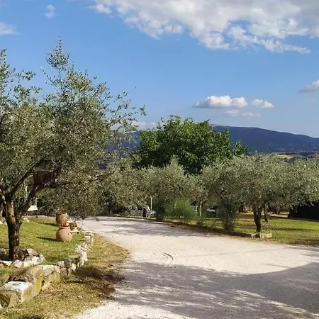 Locazione In Sita In Via Ponte Di Ferro 2 B Gualdo Cattaneo