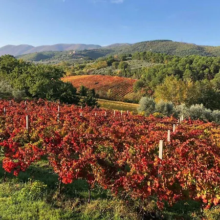 Locazione Turistica Spaccarotella Vista Su Gualdo Cattaneo