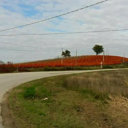 Locazione In Sita In Via Ponte Di Ferro 2 B