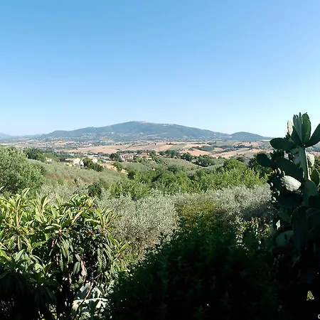 Apartment Locazione Turistica Spaccarotella Vista Su